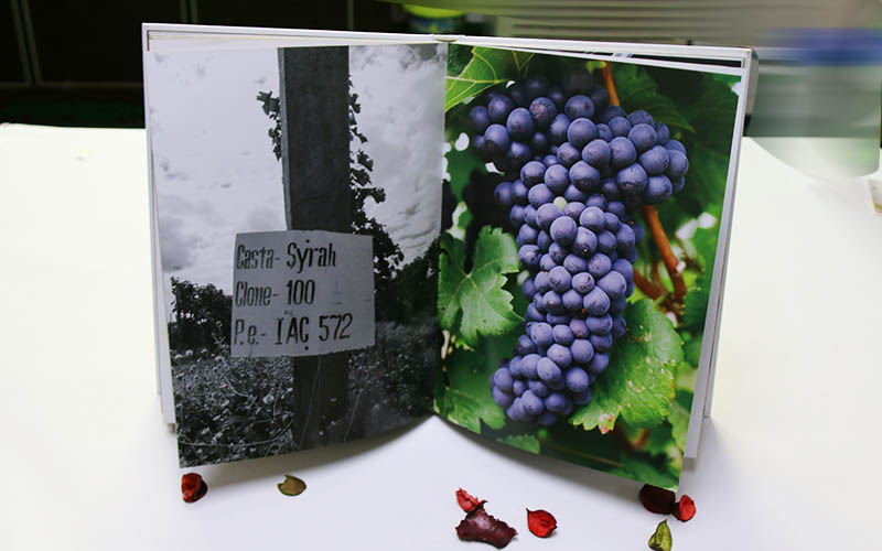 精裝書印刷,高檔精裝書印刷,國外旅遊精裝書印刷 精裝書印刷,高檔精裝書印刷,國外旅遊精裝書印刷