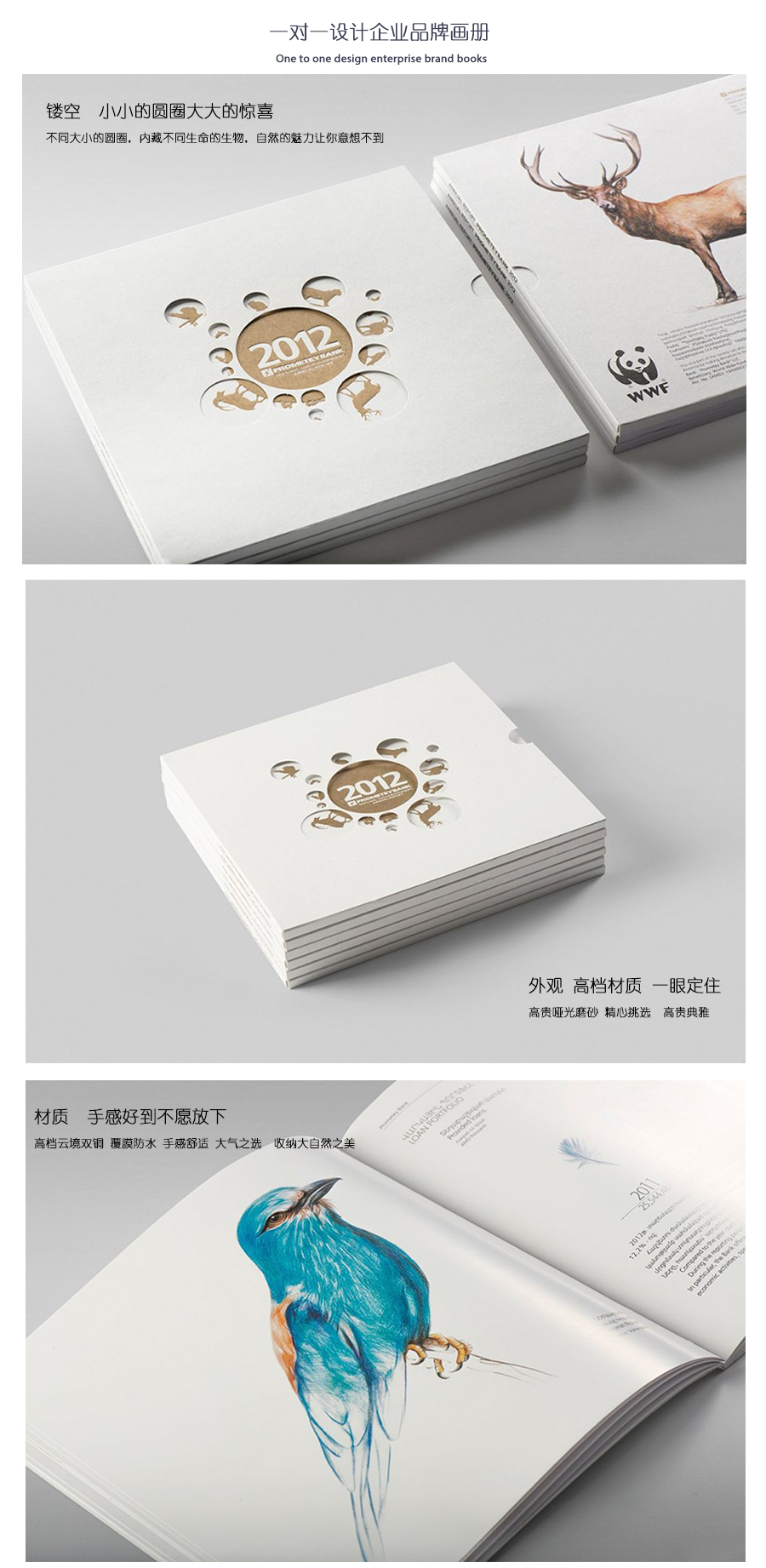 精美生物畫冊、精裝畫冊