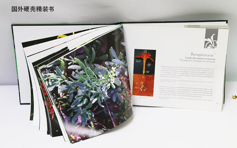 精裝書印刷,國外植物精裝書印刷,高檔精裝書印刷 精裝書印刷,國外植物精裝書印刷,高檔精裝書印刷